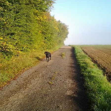 Eifelland-ferien Appartement *