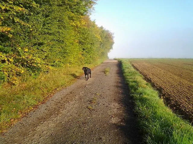 Eifelland-ferien Apartament *